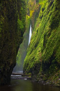 a waterfall in the middle of a canyon with moss growing on it's sides