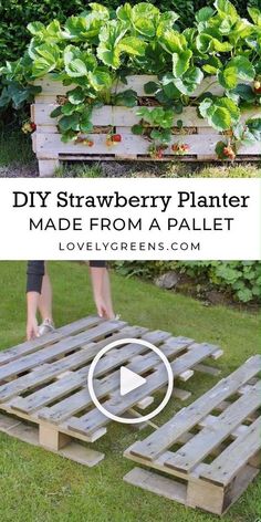 two wooden pallets with plants growing out of them and the words diy strawberry planter made from a pallet