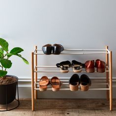 there is a rack with shoes on it next to a potted plant