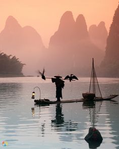 a person on a boat with birds flying over it and mountains in the background at sunset