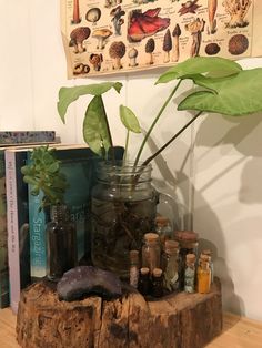 spell jarsherb jarscrystalsplants Herb Jars, Room Bohemian, Spell Jars, Indie Room, Redecorate Bedroom, Aesthetic Rooms, Pretty Room, Dreamy Room