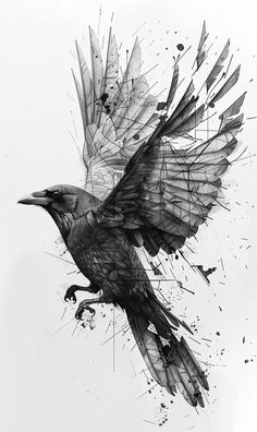 a black and white drawing of a bird with its wings spread out, flying through the air