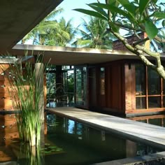 the house is surrounded by water and palm trees in front of it, along with an outdoor swimming pool