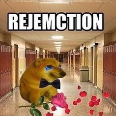 a stuffed animal with a bow tie on sitting in a hallway next to roses and lockers