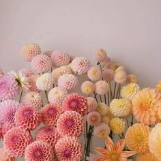 many different colored flowers in vases on a table next to a wall with a white background