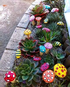 an assortment of colorful rocks and succulents in a flower bed on the sidewalk