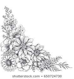 flowers and leaves on a white background with space for your text hand drawn ink illustration