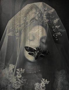 a black and white photo of a woman wearing a veil with a butterfly on her nose