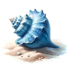 a blue sea shell sitting on top of a sandy beach