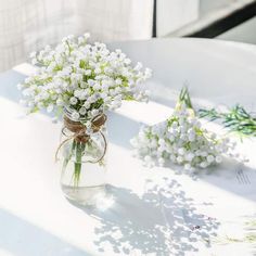 white flowers are in a glass vase on a table with sunlight coming through the window