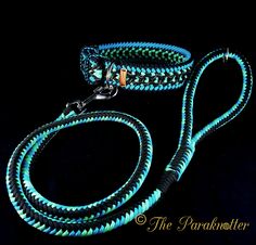 a blue and black dog leash on a black background