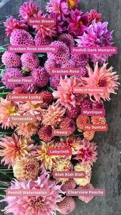 a bunch of flowers that are on top of a table with names in english and spanish