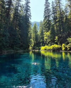 the water is crystal blue and clear with trees in the backgrounnds