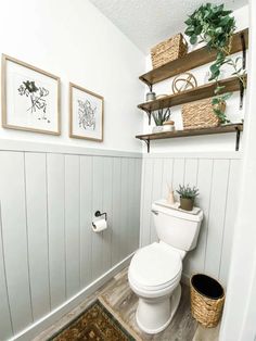 a white toilet sitting in a bathroom next to a shelf filled with potted plants