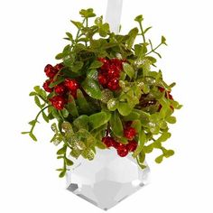 a plant with red berries and green leaves in a clear vase on a white background