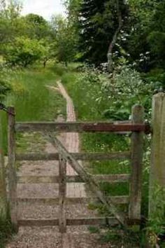 an open gate leading to a dirt path in the middle of a lush green forest