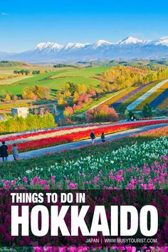 the cover of things to do in hokido, japan with flowers and mountains in the background