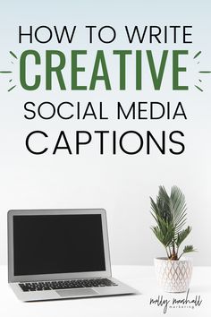 a laptop computer sitting on top of a white desk next to a potted plant