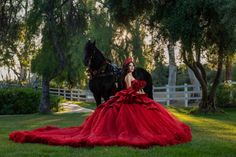 Follow @mercedphotography on IG Red Quince Aesthetic, Pink Dress For Quinceanera, Quince Photoshoot With Horse, Quince Suprise Outfit Red, Red Quince Photoshoot, Quince Pictures With Horses, Vampire Theme Quinceanera, Quince Horse Photoshoot, Red Chambelanes Outfits