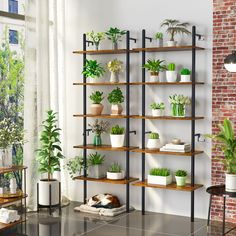 a room filled with lots of potted plants on shelves next to a brick wall