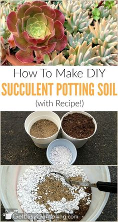 an easy diy succulent potting soil recipe