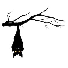 a bat hanging from a tree branch with eyes drawn on it's back end