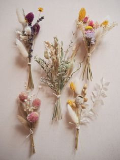 four dried flowers are arranged on a wall