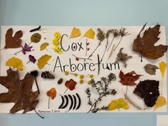 a sign that says cox arborfum surrounded by autumn leaves and acorns