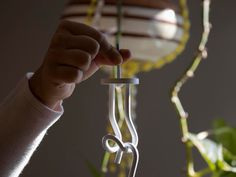 a person is holding something in front of a plant and hanging from a light fixture