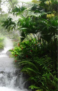 there is a waterfall in the middle of some trees and plants with mist coming from it