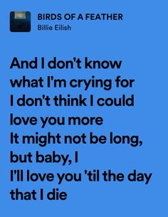 #music #spotify #musician #song #billie #billieeilish #billieeilishaesthetic #lyrics #lyricsong #eilish #album Lyrics That Describe How I Feel, Alt Song Lyrics, Lyrics From Love Songs, Pretty Lyrics Billie Eilish, Birds Of A Feather Billie Eilish Lyrics, Real Song Lyrics, Billie Eilish Songs Spotify, Best Lyrics Quotes Songs, Lyrics That Describe Me