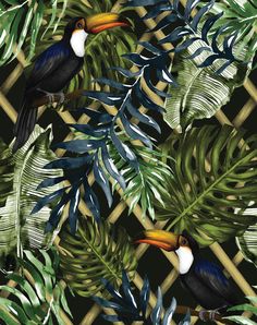 tropical leaves and toucan birds on a black background with green palm leaves in the foreground