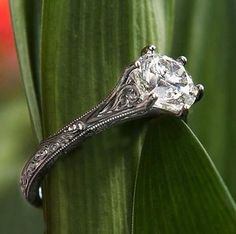 a diamond ring sitting on top of a leafy green plant with an intricate filigreet