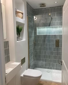 a white toilet sitting next to a walk in shower