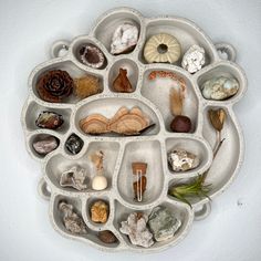 there are many different rocks and shells in the trays on this wall hanging from the ceiling