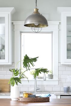 a potted plant sitting on top of a kitchen counter next to a light fixture