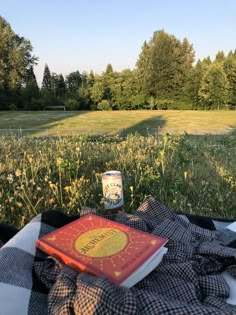 a picnic blanket with a book on it in the middle of a field near some trees