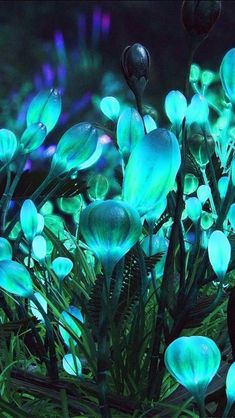 blue flowers glowing in the dark with green stems and leaves growing out of their petals