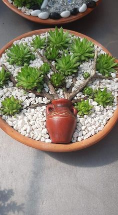 two clay pots with plants in them sitting on a table next to rocks and gravel