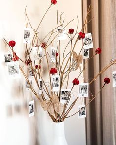 a vase filled with red flowers and pictures