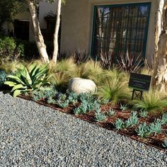 an outdoor garden with plants and rocks in front of a house that has a sign on it