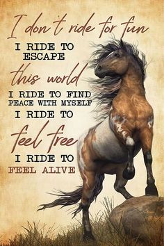 a horse standing on its hind legs with the words i don't ride for fun