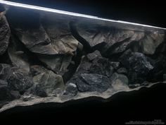 an aquarium with rocks in the water and light coming from it's bottom half