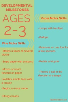 an info sheet with two different types of motor skills