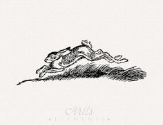 an ink drawing of a dog jumping over a hill