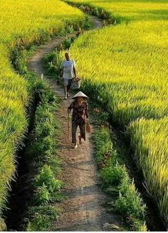 two people walking down a dirt path in the middle of a field