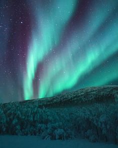 the aurora bore is shining brightly in the sky above snow covered trees and evergreens