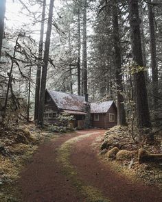 a cabin in the woods with trees and dirt path leading up to it's entrance