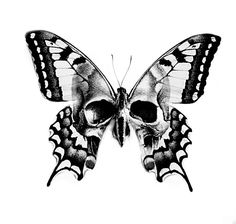 a black and white drawing of a butterfly