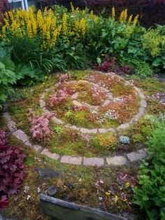 a circular garden with flowers and plants around it